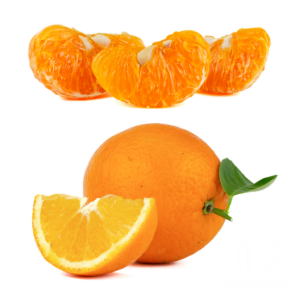 Source Directly From Pakistan Best Quality Saremco Oranges ( Mandarin )-Regular Supply-Best Prices
