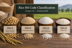 Visual comparison of four rice types corresponding to HS codes 1006.10, 1006.20, 1006.30, and 1006.40