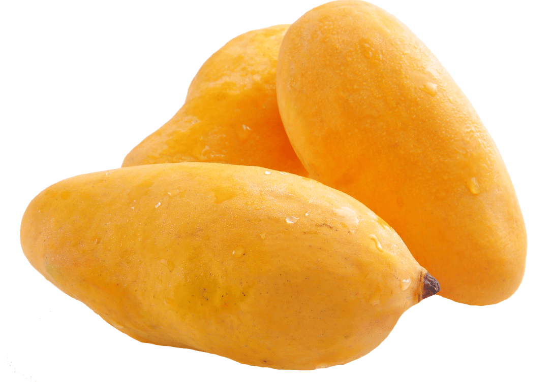 Mangoes directly export from Pakistan