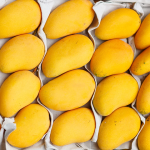 Exporting Mangoes from Pakistan: A Comprehensive Guide