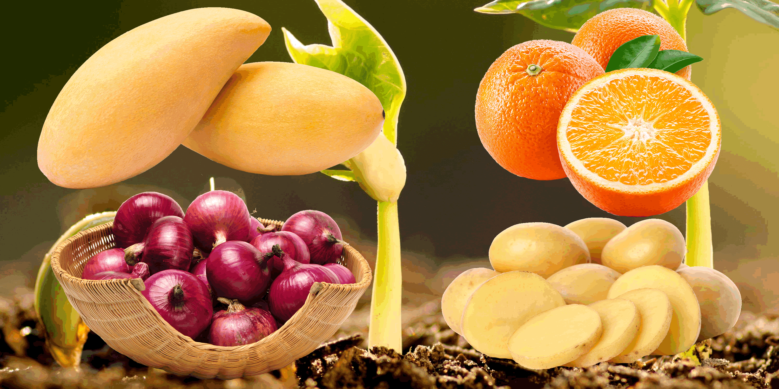 Fruits-Vegitables-Saremco Impex